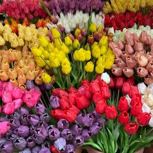 Meet your Posher, Kay